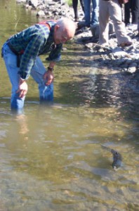 Geoff Clayton watches his released sockeye swim from shore
